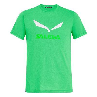 Salewa Solidlogo DRI-REL M S/S TEE, Summer green M - 1