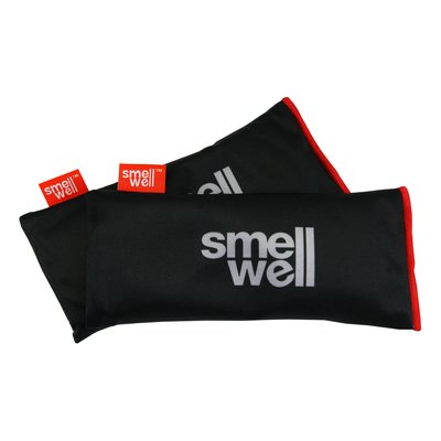 SmellWell Active XL deodorizér Black Stone, Black Stone - 1